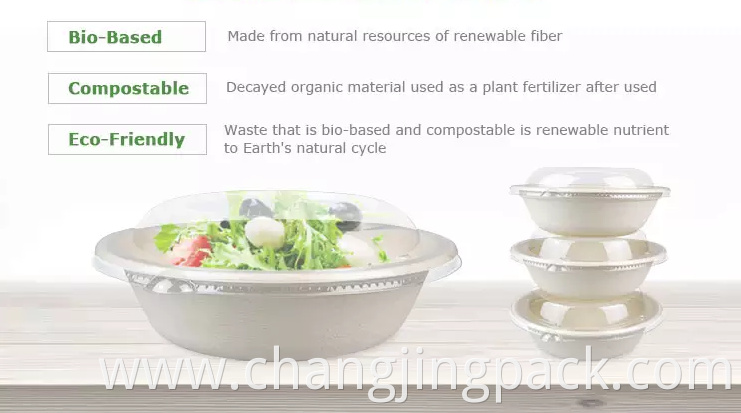  biodegradable containers wholesale